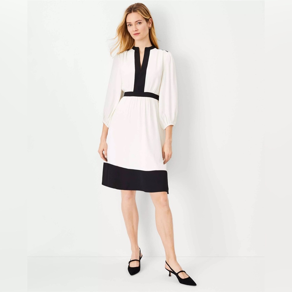 Ann Taylor Black and White Colorblock Flare Dress with V-Neck